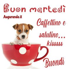 immagini buongiorno