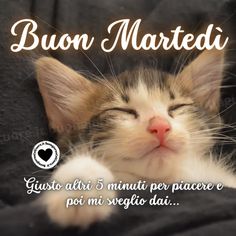 Buongiorno e Buon Martedì