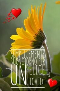 Immagini Buongiorno Giovedì