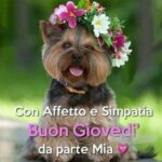 buongiorno e buon giovedì