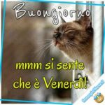 Buongiorno e Buon Venerdì